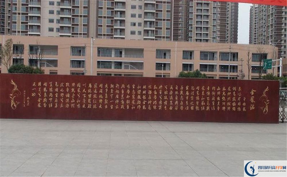 成都經(jīng)濟(jì)技術(shù)開發(fā)區(qū)實(shí)驗(yàn)中學(xué)2020年全國排名是多少？