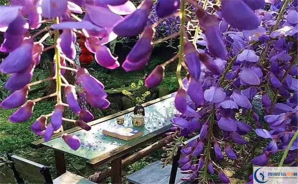 郫縣三中平行班與實(shí)驗(yàn)班差多少？