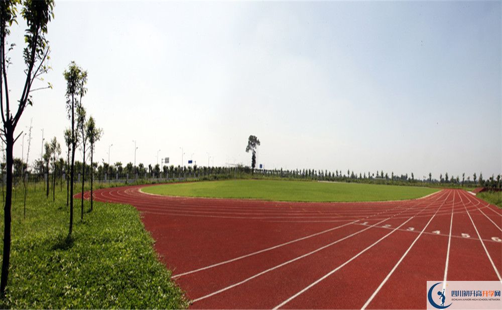 2020川師大附屬第三實(shí)驗(yàn)中學(xué)高考重點(diǎn)大學(xué)升學(xué)率是多少？