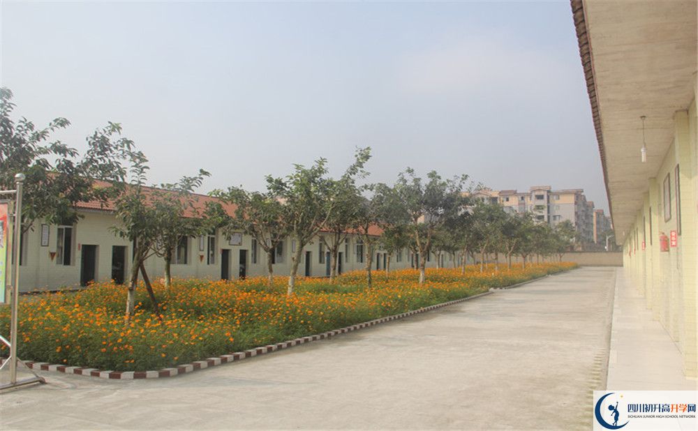 強(qiáng)項(xiàng)實(shí)驗(yàn)中學(xué)在全國(guó)高中排名多少？