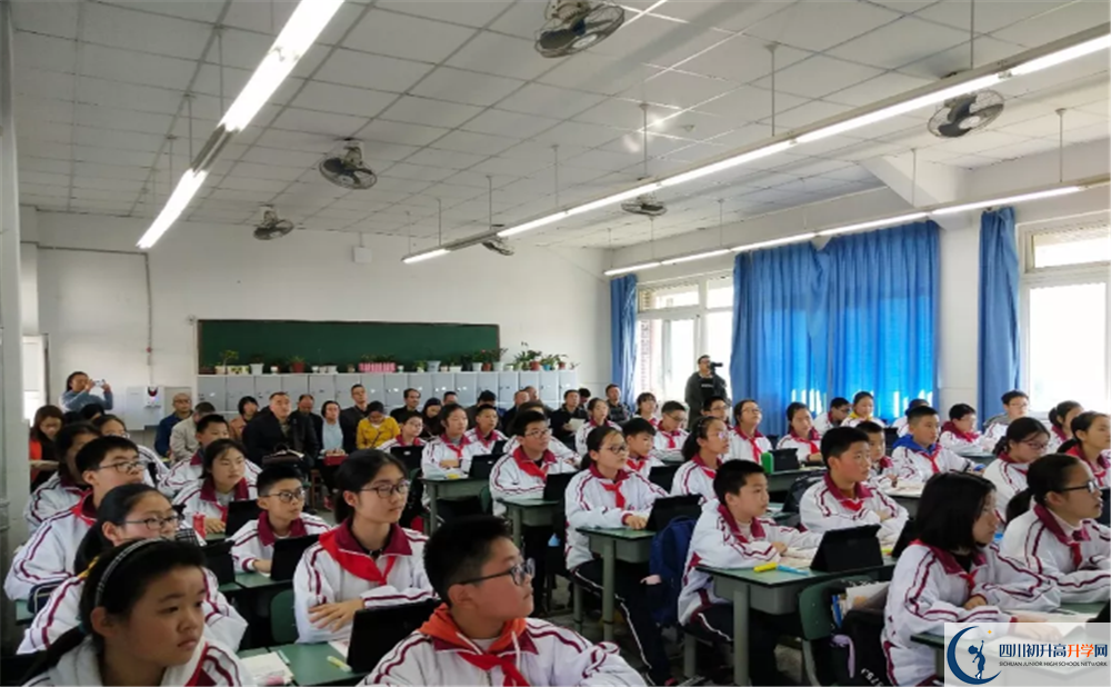 2020安仁中學(xué)期末試卷數(shù)學(xué)在哪兒看？