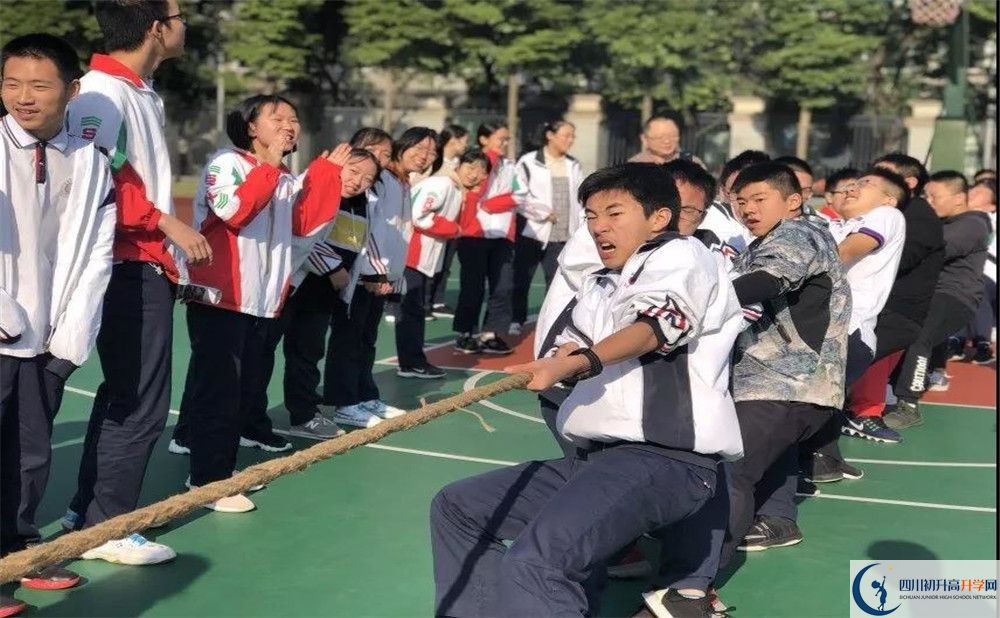 成都樹德中學(xué)面向全國(guó)招生嗎？