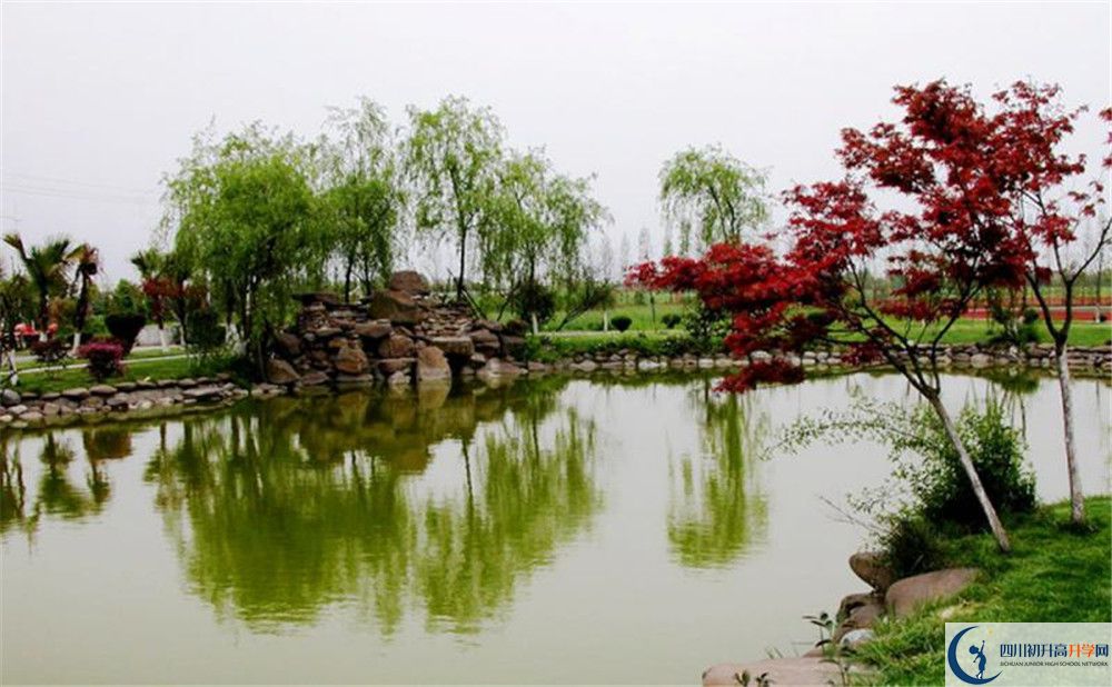 成都七中實(shí)驗(yàn)學(xué)校面向全國(guó)招生嗎？
