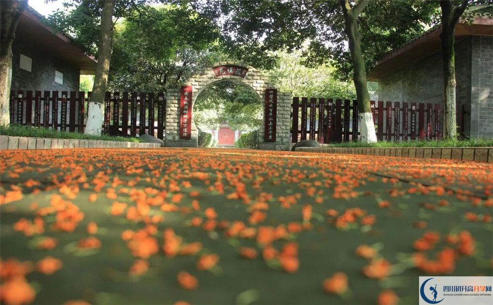 成都七中高新校區(qū)平行班中考重點(diǎn)率是多少？