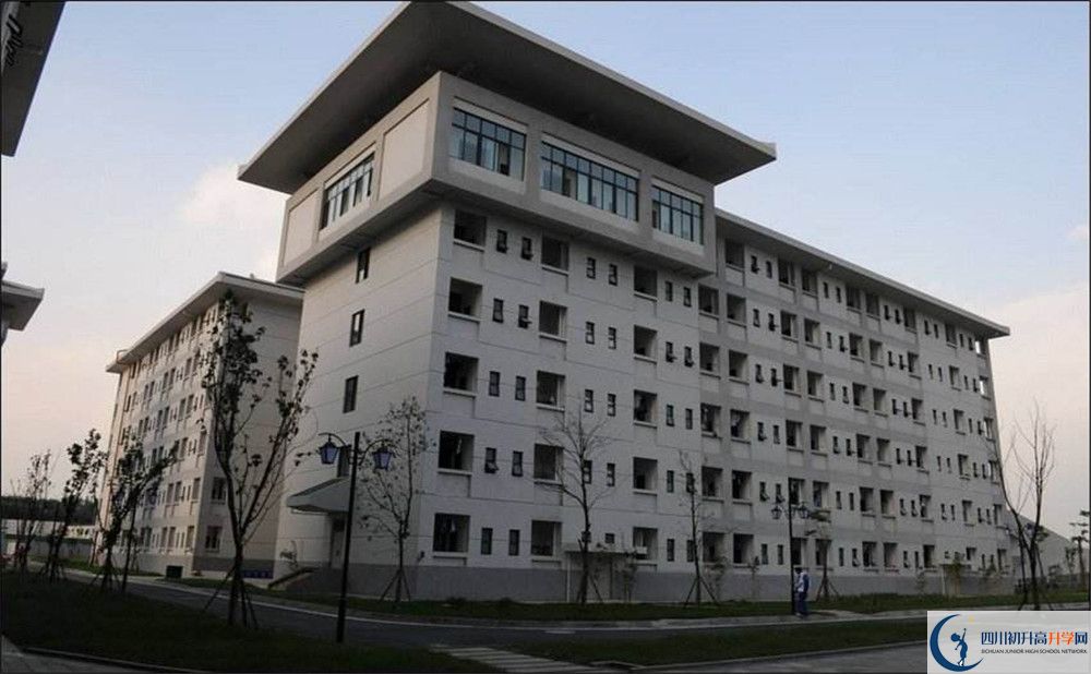 成都石室中學(xué)北湖校區(qū)的國際班怎么樣？
