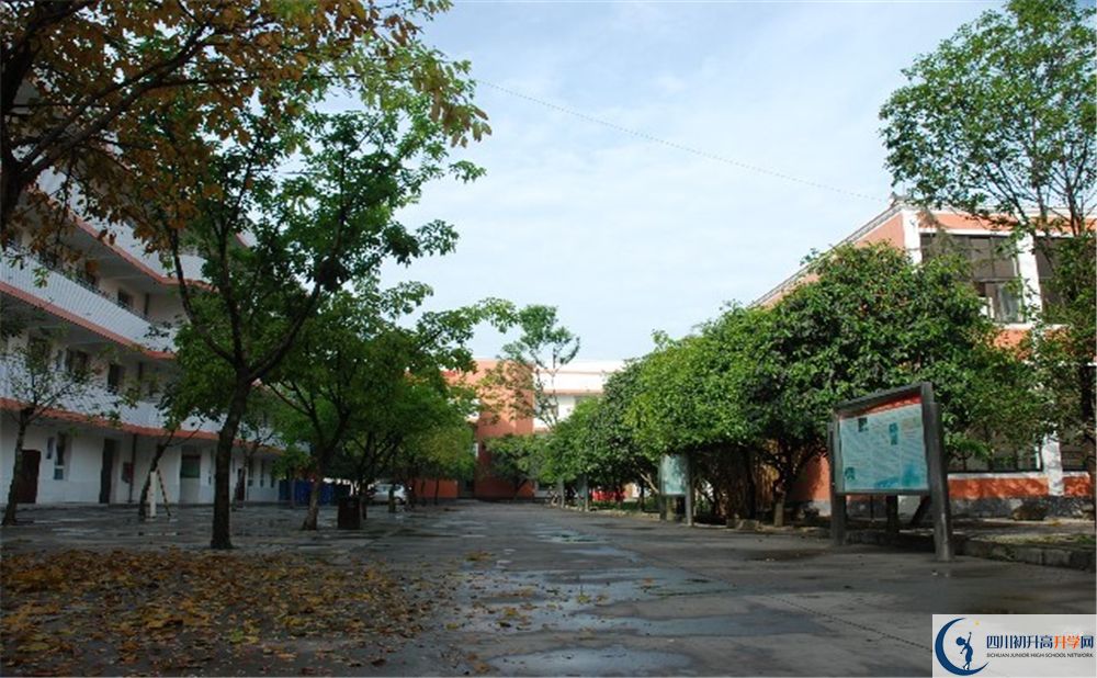 大邑中學(xué)平行班中考重點(diǎn)率是多少？
