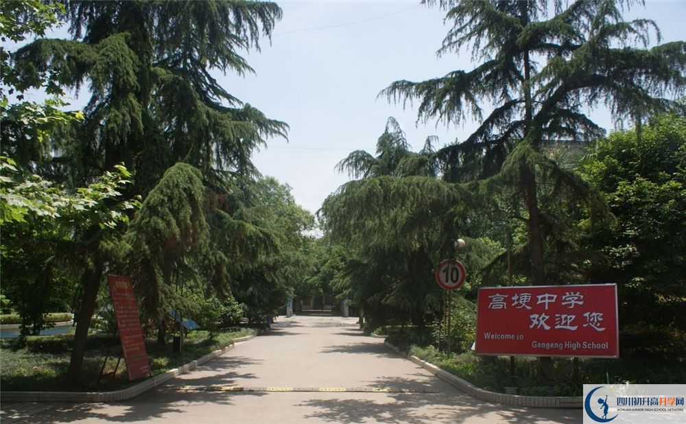高埂中學(xué)在校學(xué)生總?cè)藬?shù)是多少？