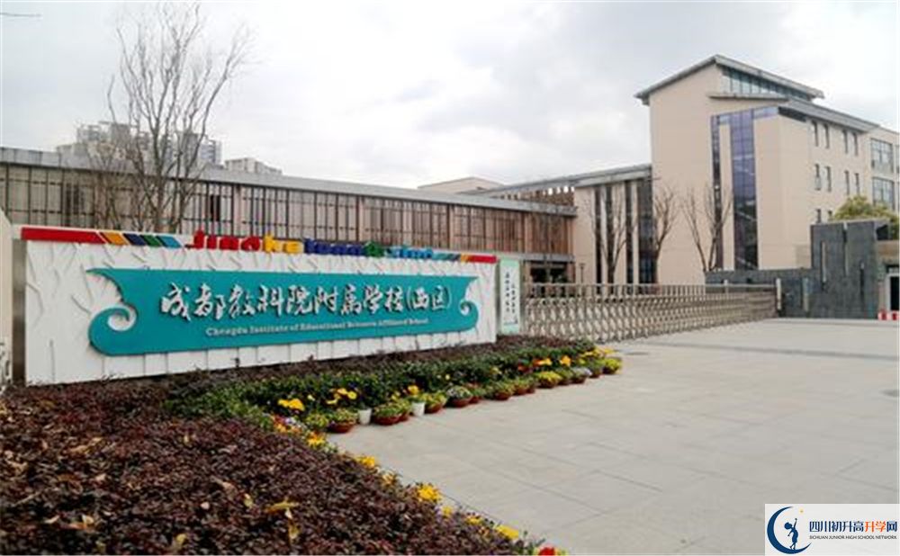 成都教科院附屬學(xué)校2020年高考人數(shù)是多少？