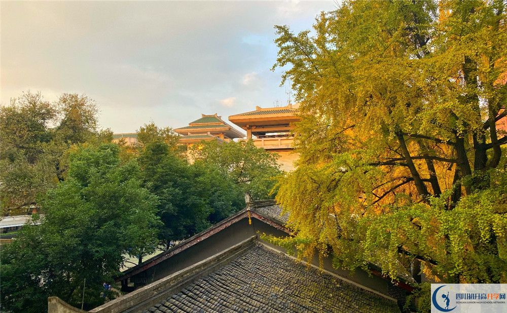 成都石室中學(xué)北湖校區(qū)2020年中考錄取分?jǐn)?shù)線是多少？