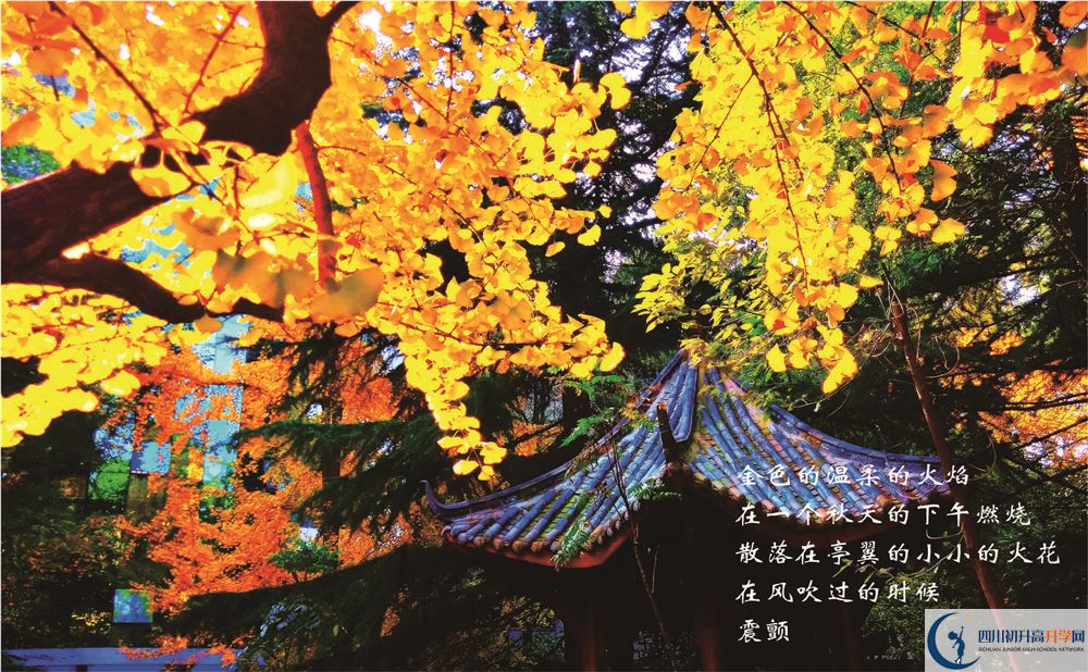 成都七中初三課程資源在哪里看？