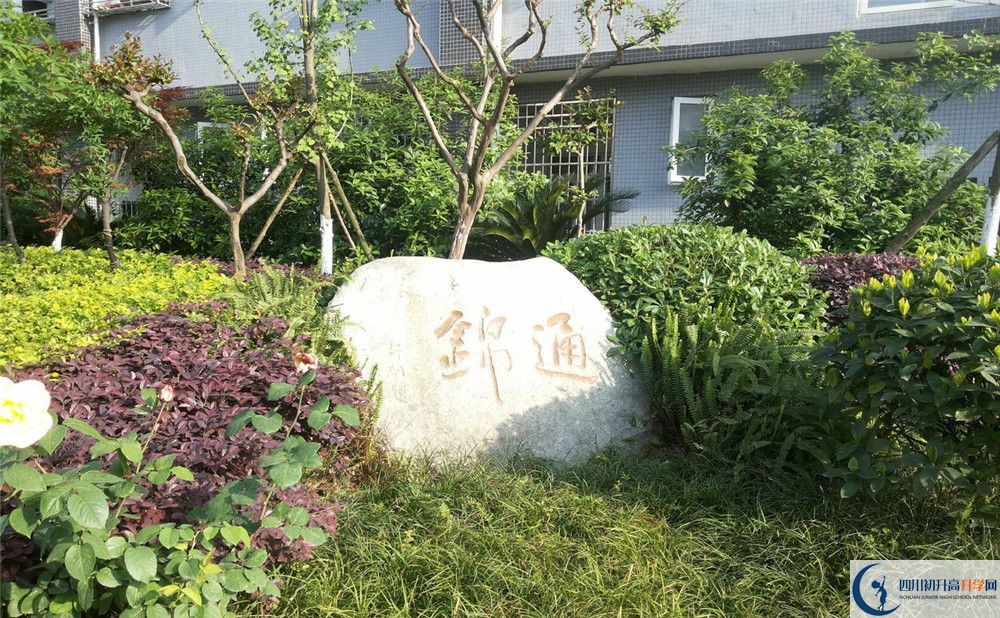 2020年通錦中學(xué)自主招生考試時(shí)間是否有調(diào)整？