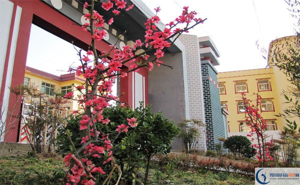 金川中學(xué)今年的錄取條件是否有變化？