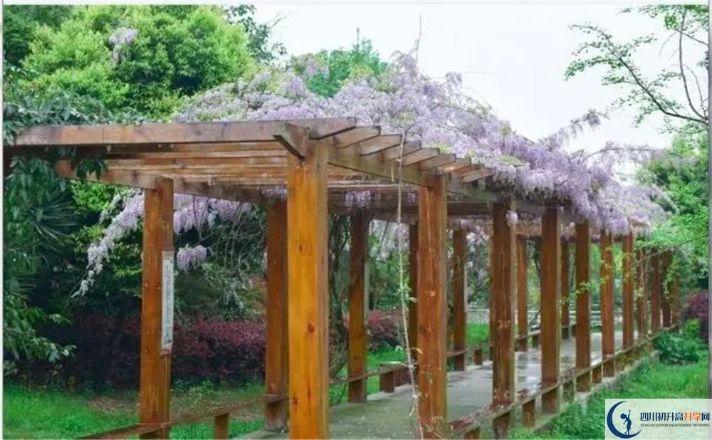 廣安花橋中學(xué)高三診斷考試時(shí)間怎么安排？