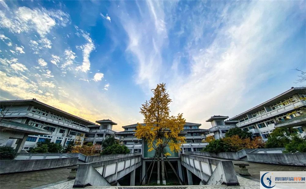 廣安第四中學高一分班嗎？
