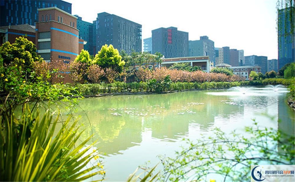 成都美視國際2020年怎么報名？