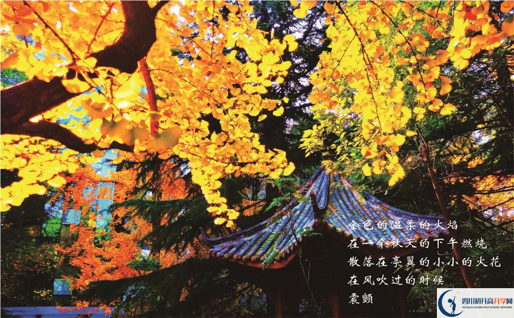 七中高新2020年學(xué)費是多少錢？
