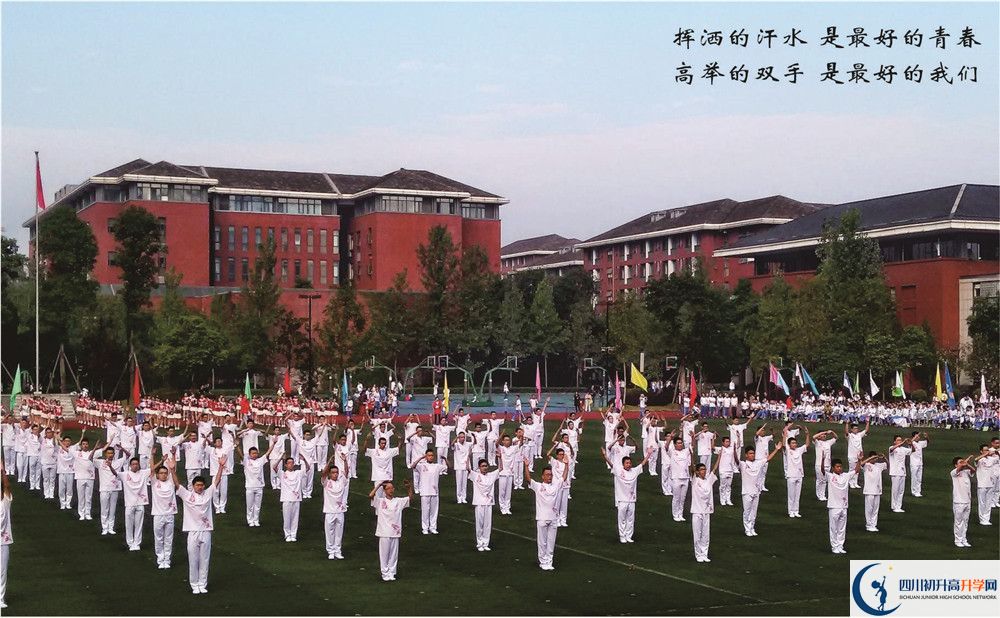 七中高新2020年排名高不高？