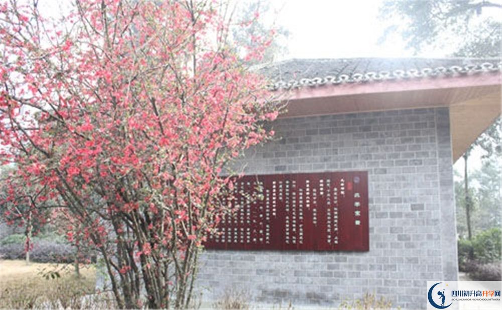 彭州中學(xué)2020年怎么樣？
