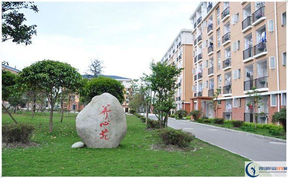八一聚源高級(jí)中學(xué)2020年怎么樣？
