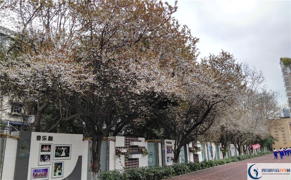 成都大學附屬中學2020年高考成績好不好？